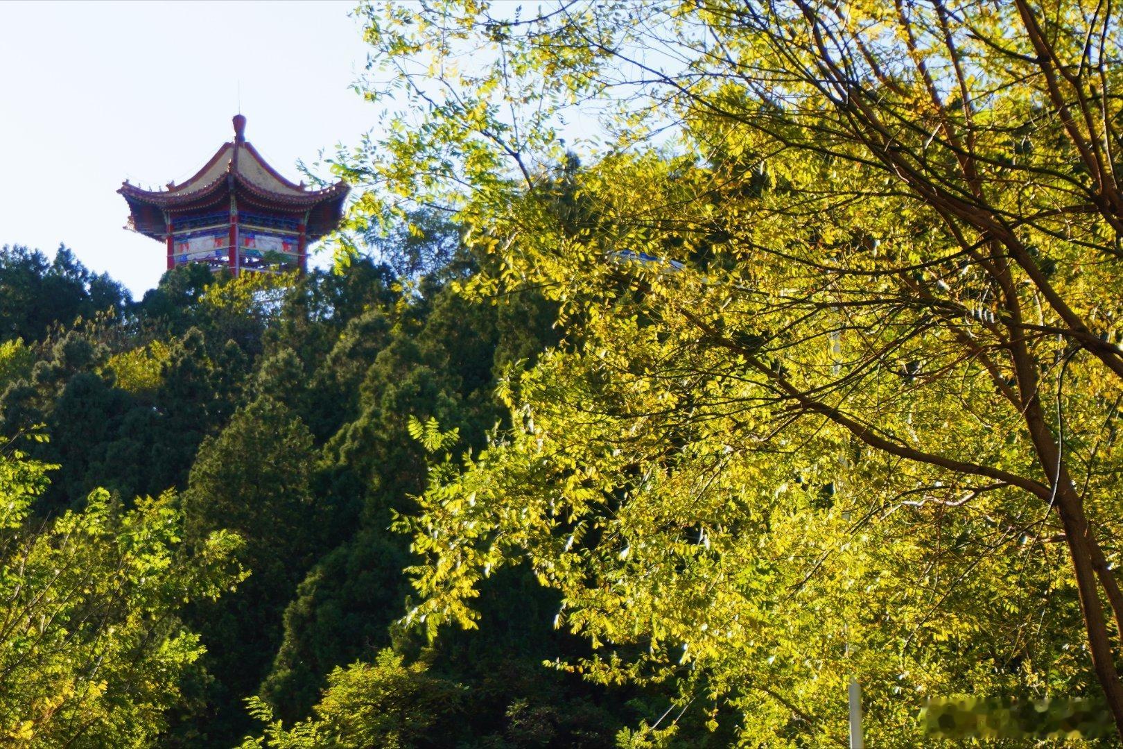 【初冬时节】☁️初冬的怀柔水库，藏着季节交替的壮阔。水面褪去秋的丰盈，更显澄澈，
