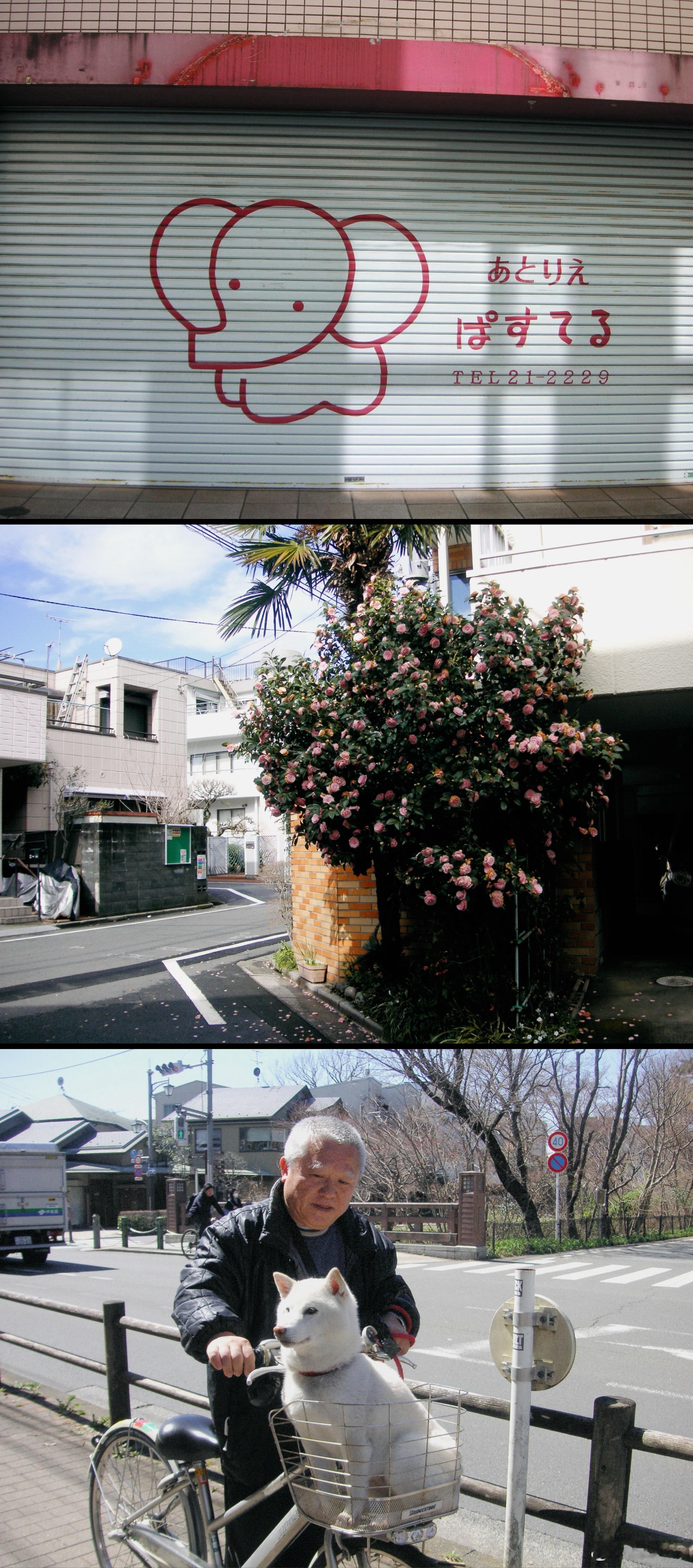 买了台小ccd，还挺有胶片的感觉耶。记录一点在东京的时光。 ​​​