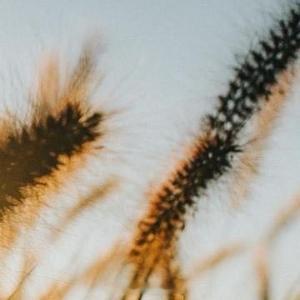 早安心语 ‧₊⋆ ❅.˳⁺⁎˚ ☃︎⋆* ❆·· ☃︎*‧₊. ⋆ ∗.˳⁺⁎˚