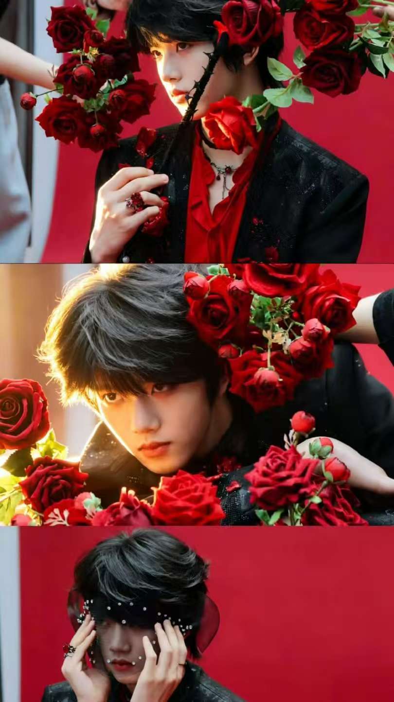 张函瑞玫瑰大片 张函瑞红玫瑰大片  别太适配了我说 
