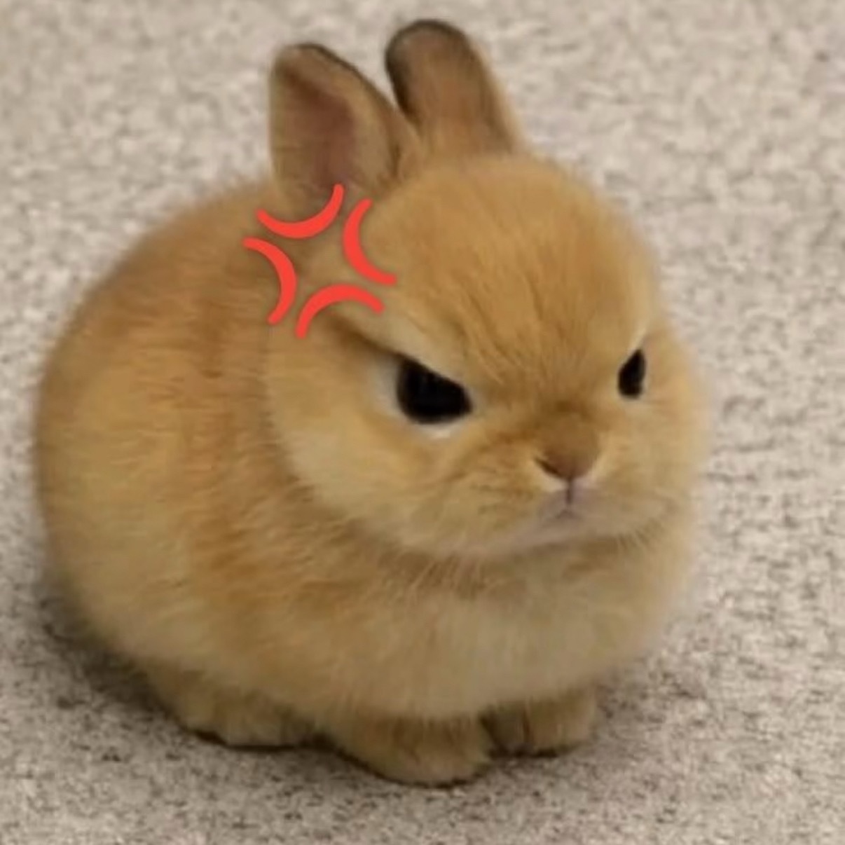 哼！😡 