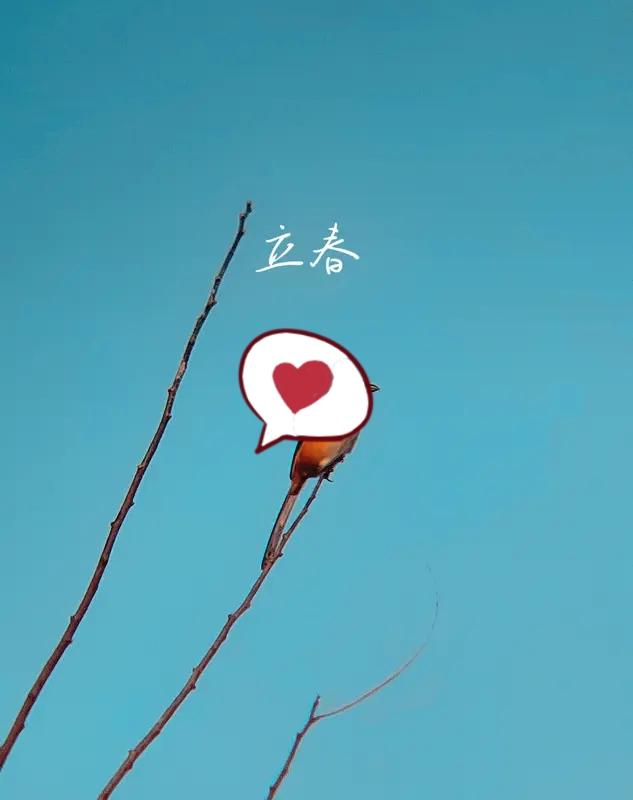 立春启新程！
挥别寒冬，喜迎春光。愿你日子有盼头，生活有温度，万事皆顺遂。
今日