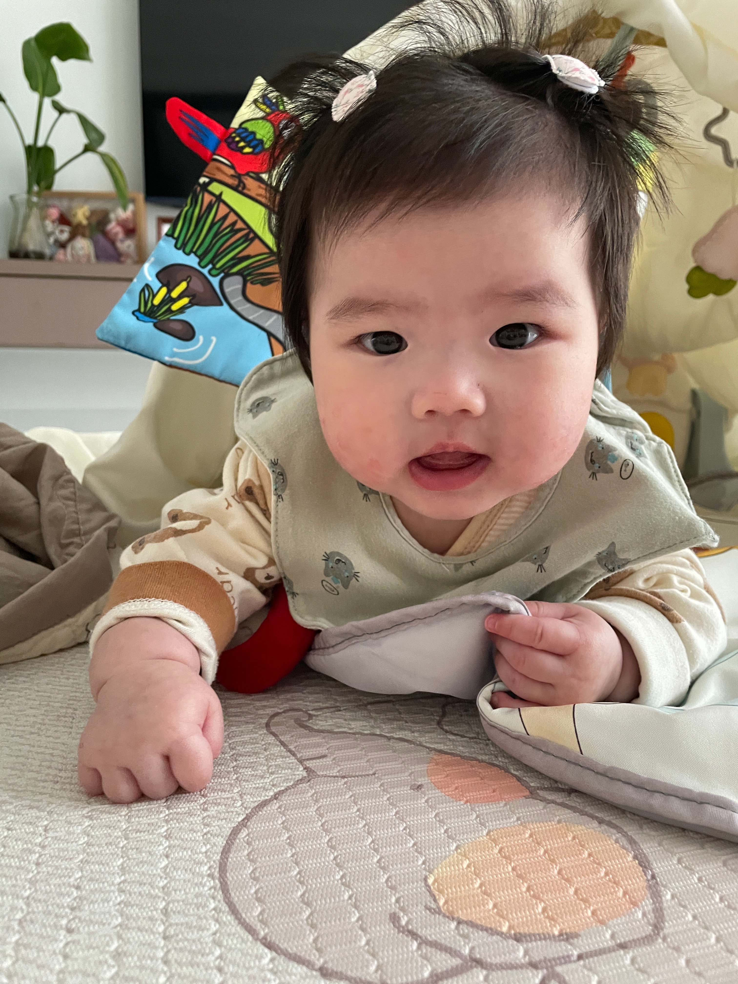 我家小宝真的太乖啦。从三个月开始就睡整觉，一天只喝四顿奶。午睡一般也可以睡一个半