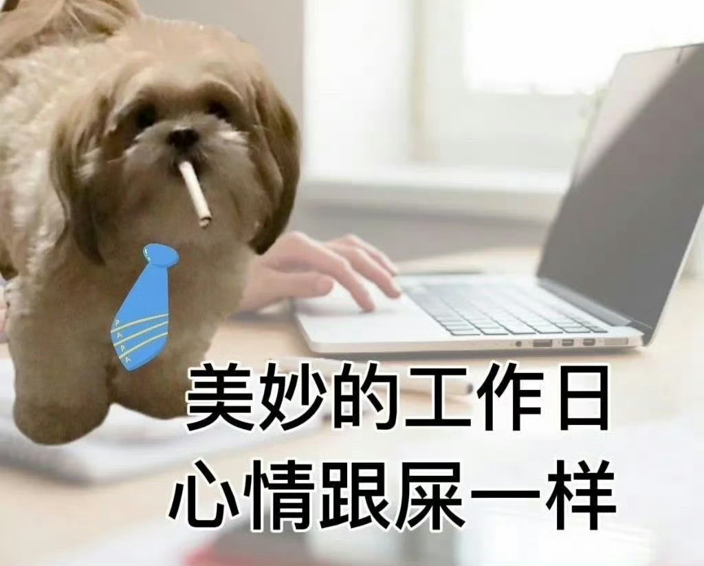 家人们早上好啊 