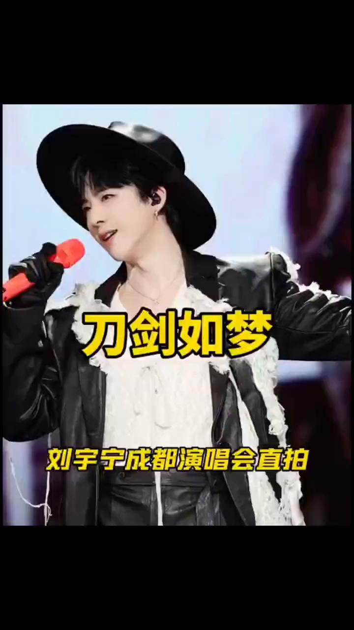 刀剑如梦，刘宇宁成都演唱会直拍。
四年有我见之时，自己会是那剑道中的魁首，江湖中