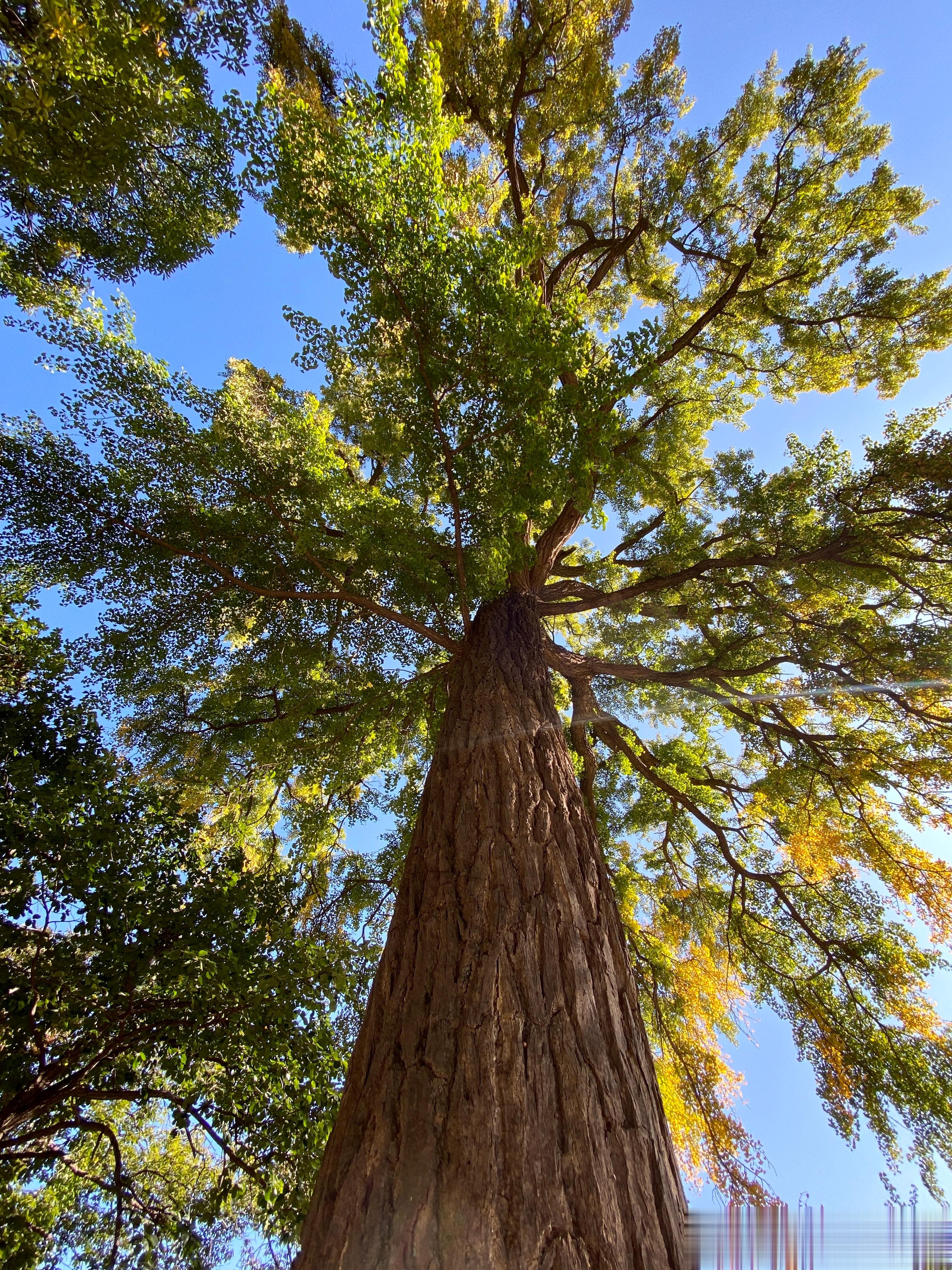 【煲个汤】昨天配合我们市场部拍摄北马的宣传照和杂志采访，最后一个问题有关自己对于