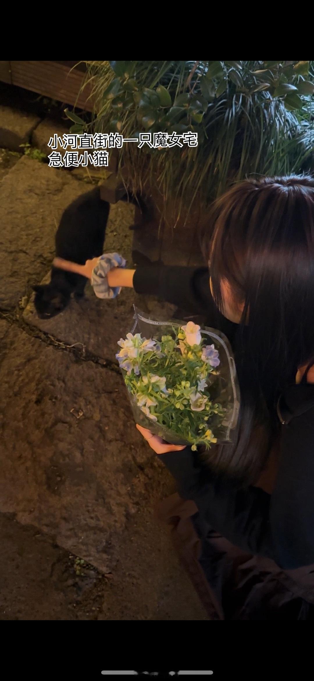 最近猫狗缘很好  自己买的花也很漂亮 喜欢如果可以天天采耳感觉也不错哈哈哈哈哈哈