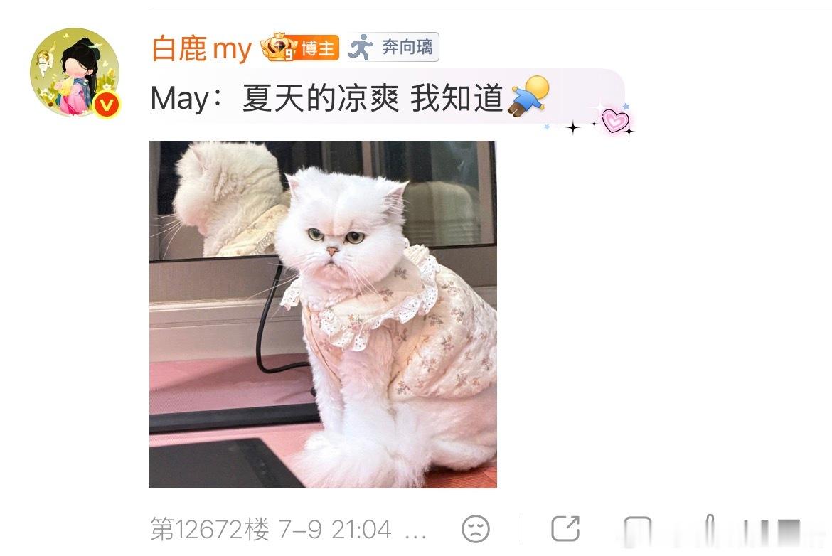 妹妹的妙脆角不见了，天气太热了，我们MayMay妹妹也要清凉上阵了。猫猫可爱，白