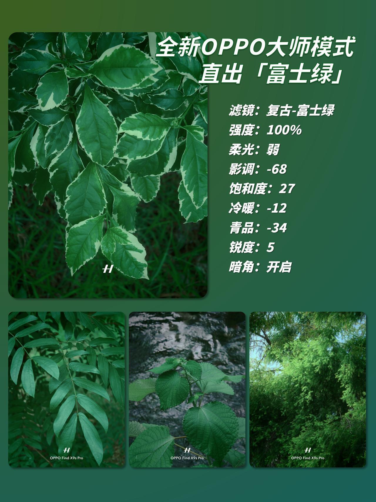 假期第一天✌🏻用手机拍富士绿胶片（附焚诀

很喜欢富士的绿色？手机也能拍出来?