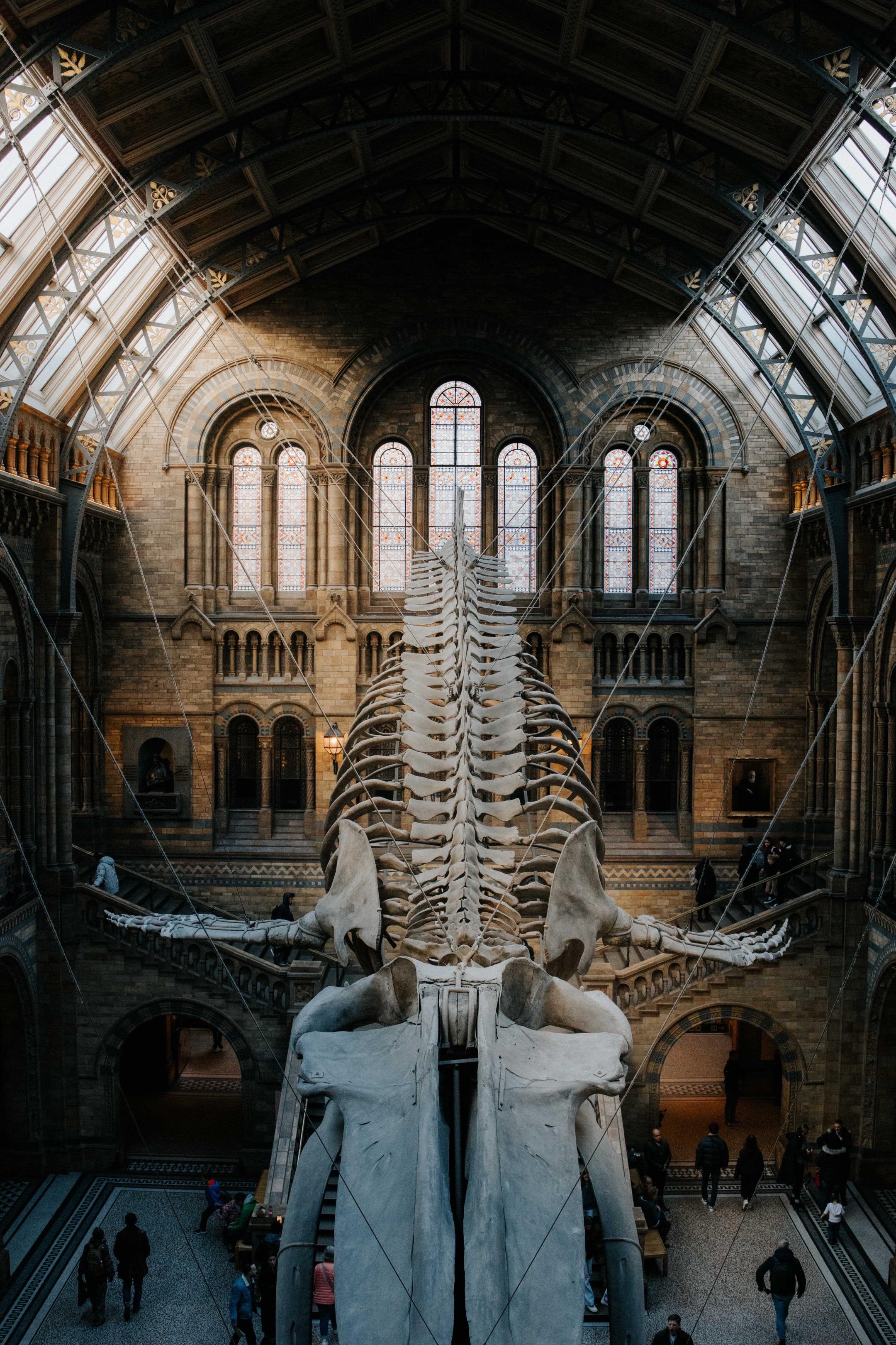 用一张照片形容你眼里的伦敦🇬🇧。看看你们相册里的伦敦✌🏻 📍自...