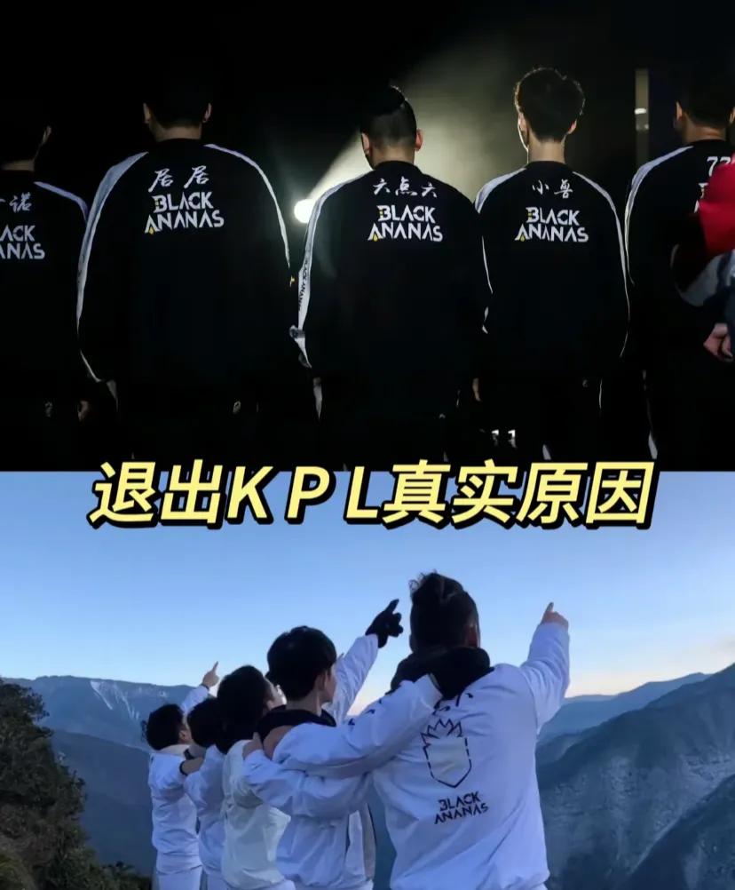 BA黑凤梨离开的原因与历程：曾经辉煌，如今的转折与解散


在王者荣耀的职业赛场