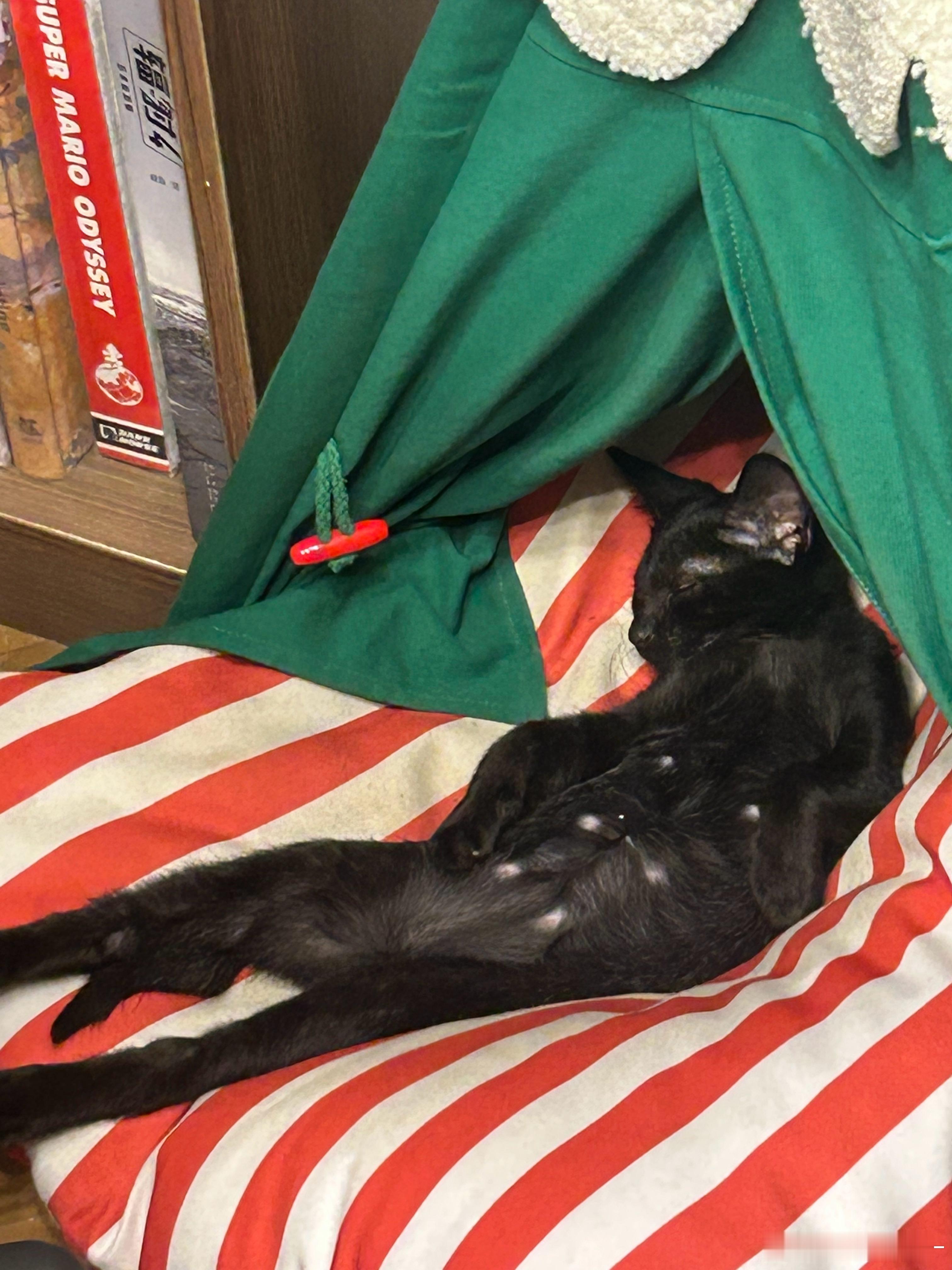 谁敢闻 