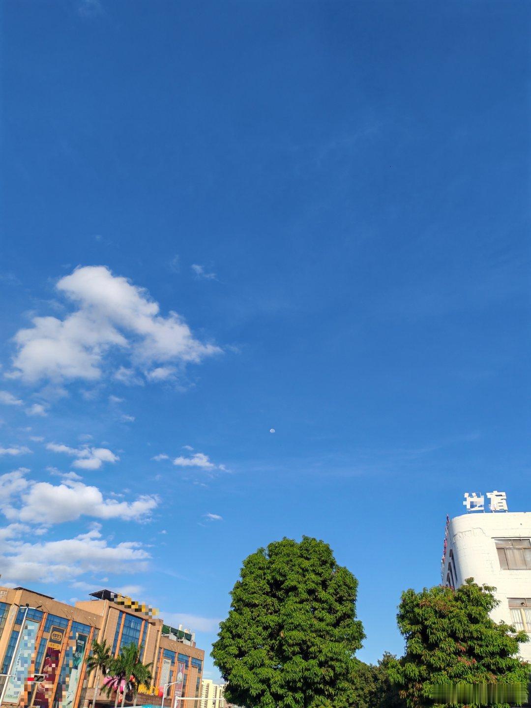 早上送小家伙上学回来看到了白天的月亮🌙 ​​​