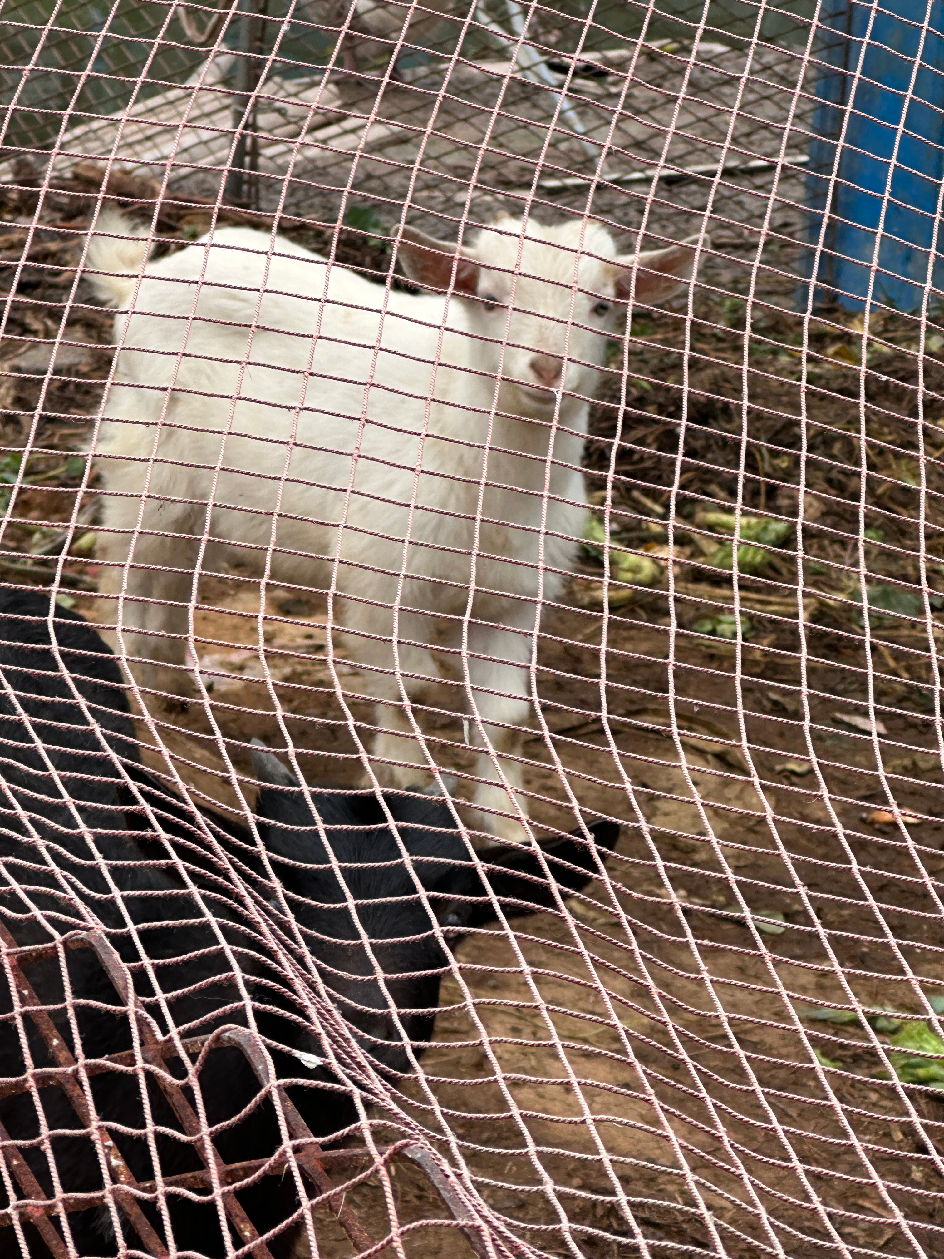 我的十天：上海-杭州-舟山-杭州-台州被封为旅行青蛙 