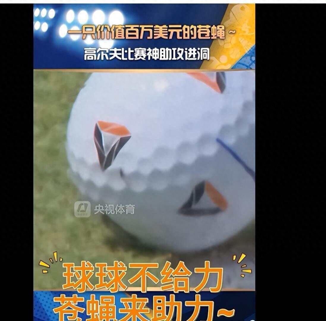 [中国赞]一只苍蝇帮他赚了91万美金？英国一场高尔夫球赛中，一名选手把球打到了离
