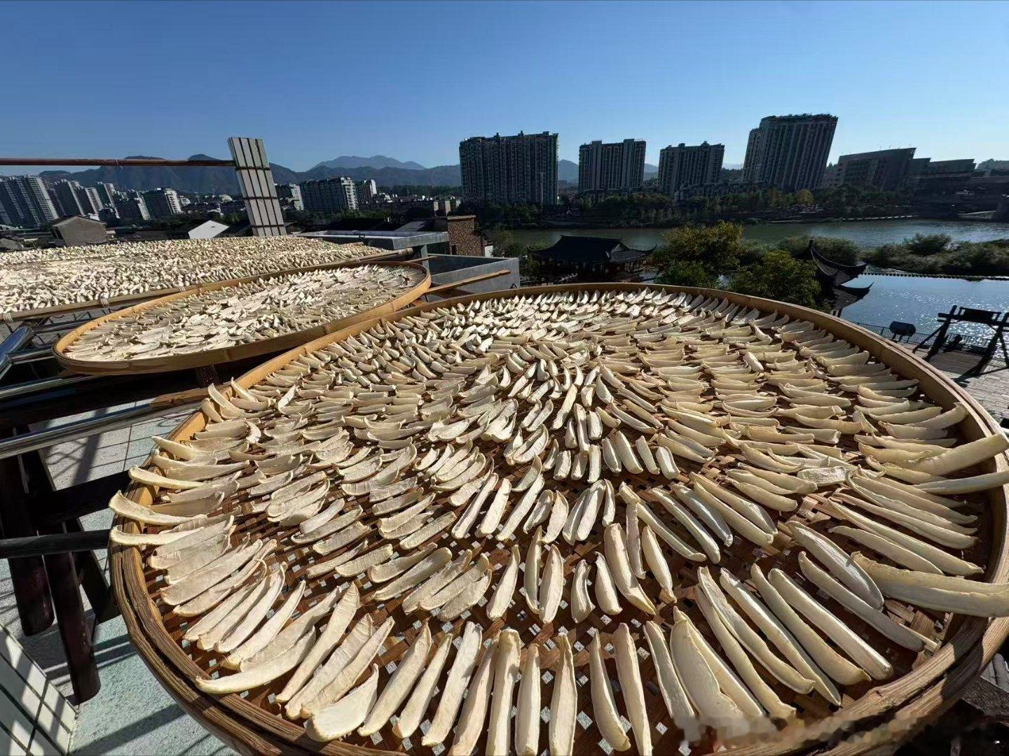 大A如同青山绿水罗卜干[捂脸]早上看得还是白白的，大半天就晒干啦？我一买入存储也