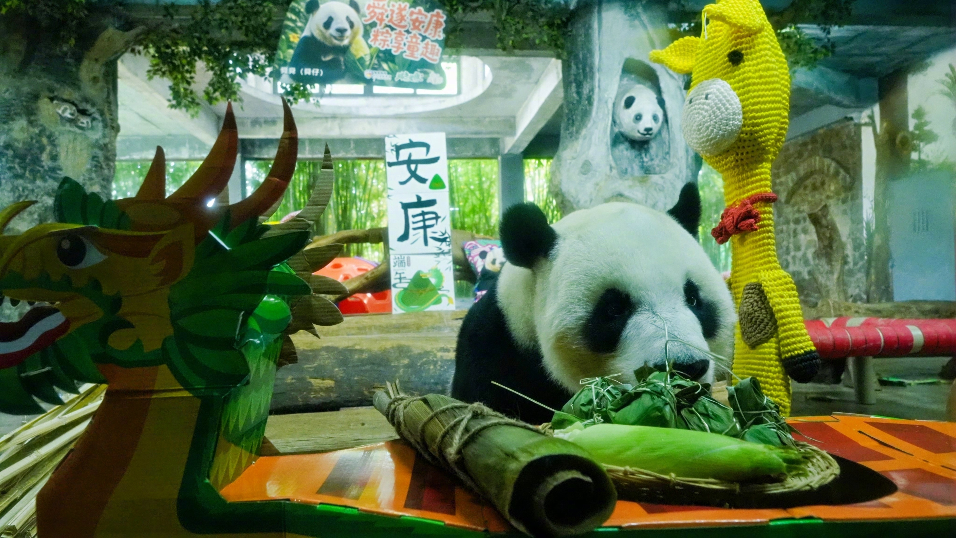 当端午遇上六一，滚滚的双倍快乐正在加载[打call] 大熊猫贡贡[超话] 大熊猫