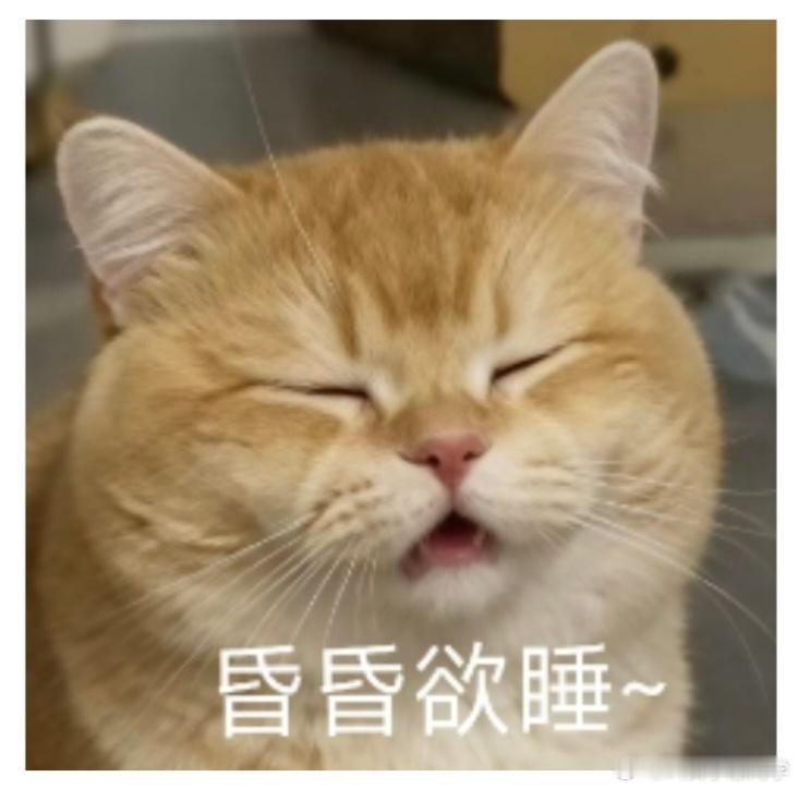 广东的空气中就跟有蒙汗药似的，一天天怎么也睡不醒… 