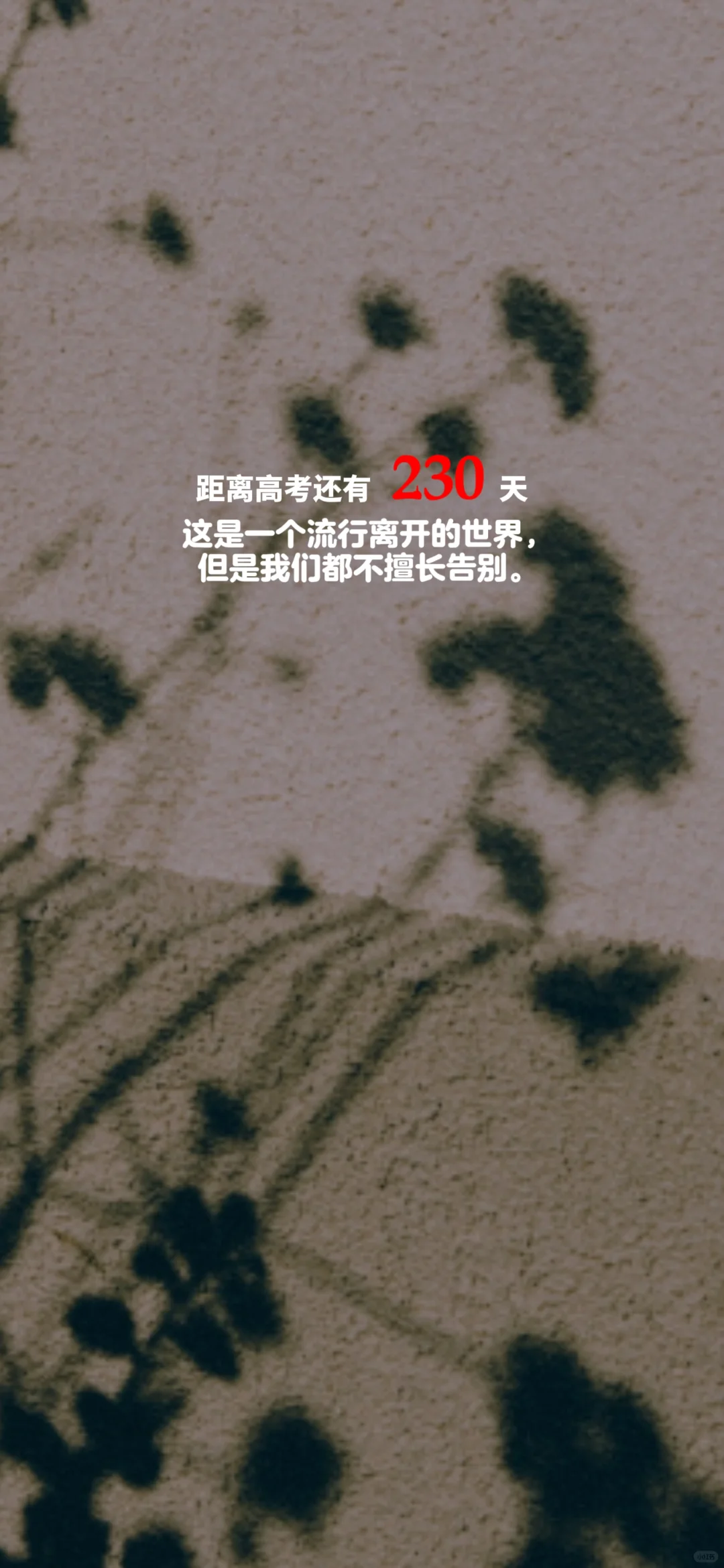 2025高考倒计时，每日更新。