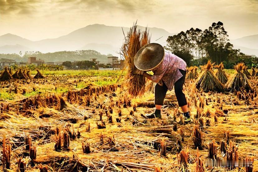社会生产力的发展也改变了亲戚关系。

曾经农耕的劳动力年代，
麦收时节，秋收时节