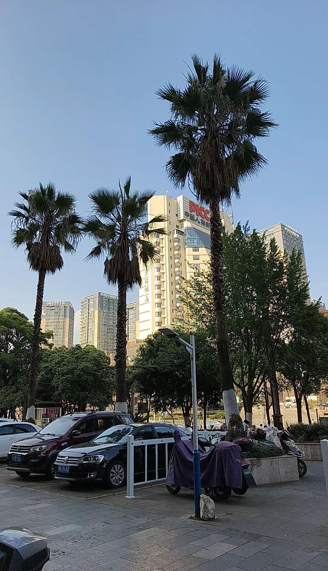 厦门天气太好了 厦门好天气 海口阳光明媚 安家昆明