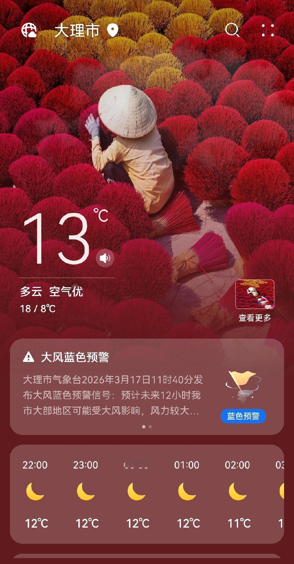 【大理市雷电黄色预警】大理市气象台于2026年3月17日12时26分发布雷电黄色