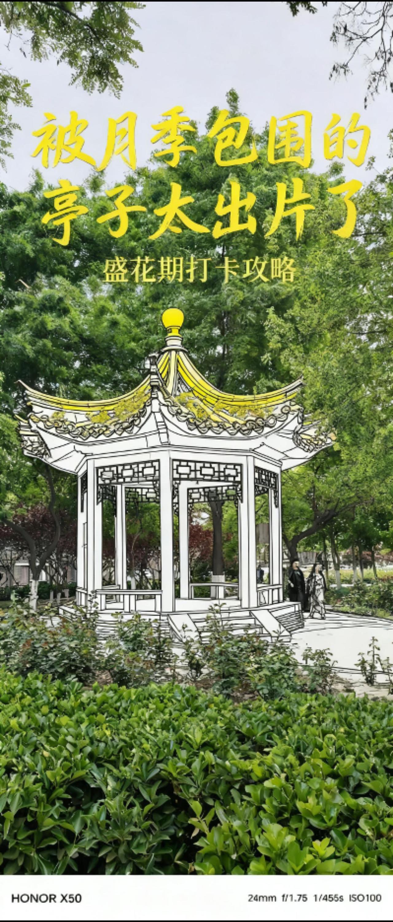 现在进入盛花期如果你喜欢拍摄必经之路。到底值不值得入