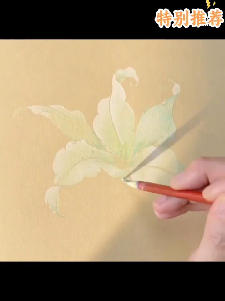 特别推荐：没骨百合花绘画示范。