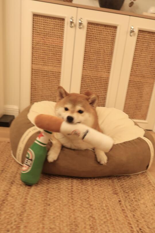 她私下就是烟酒都来啊🚬