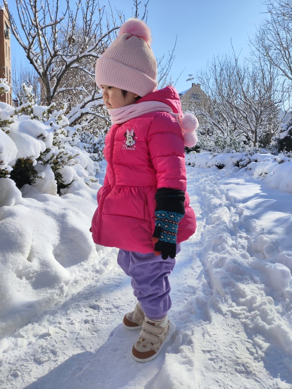大雪封门一周，终于不下了，今天是奶爸日。再过几天就是带俩了。另外为什么我手机的相