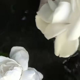 善念养善心，善心生善念。德不积不厚，善不行不成。人往高处走，善在心中留。至宝不常