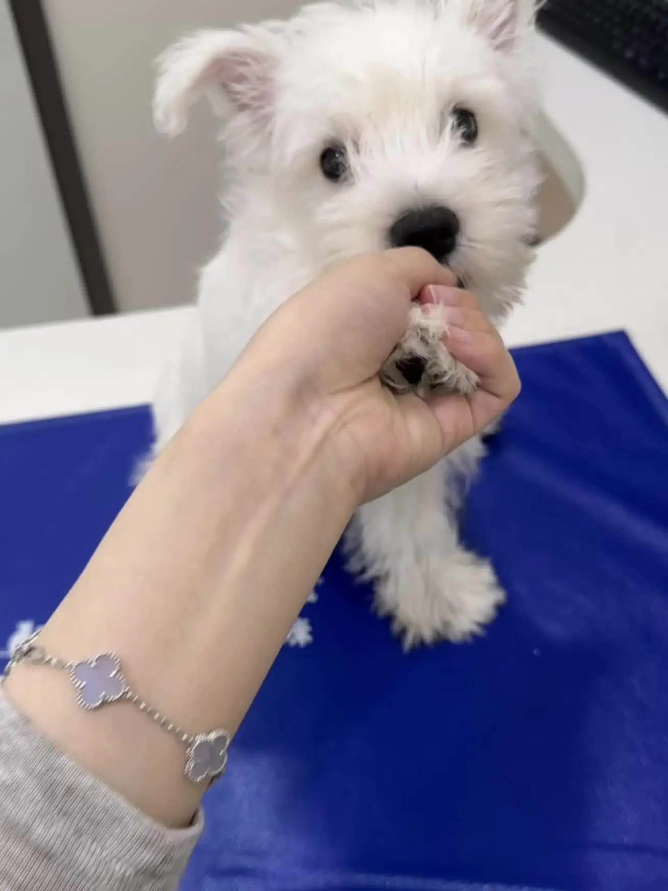 是小海豹🦭呀