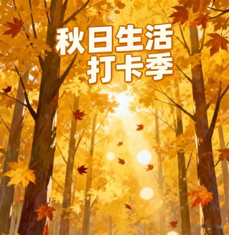 深秋季节，树叶飘落，带来阵阵凉意，引人无比惆怅。