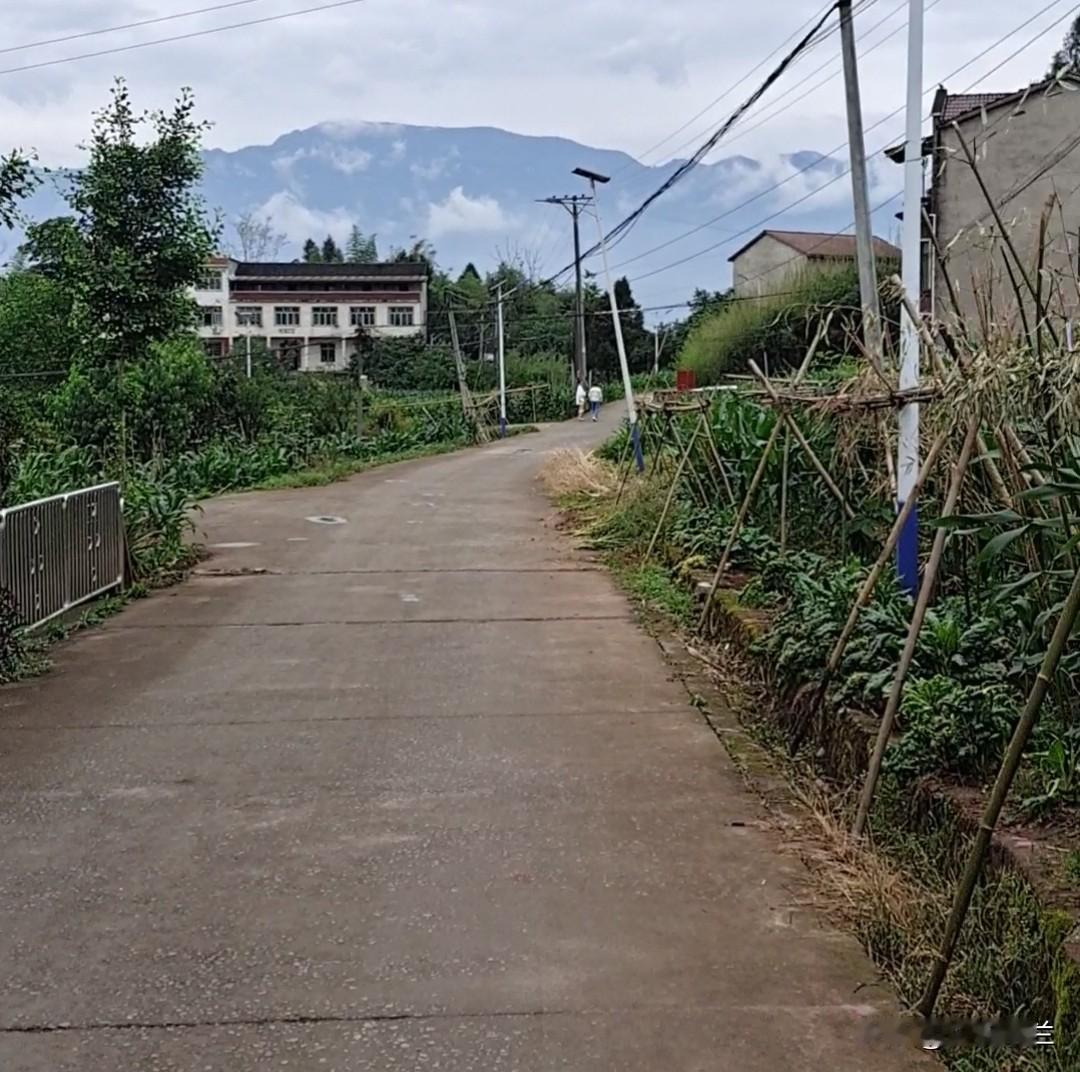 在农村，如果无儿无女，老了还是很可怜。

我小时候看到我邻居老奶奶总是一个人住在