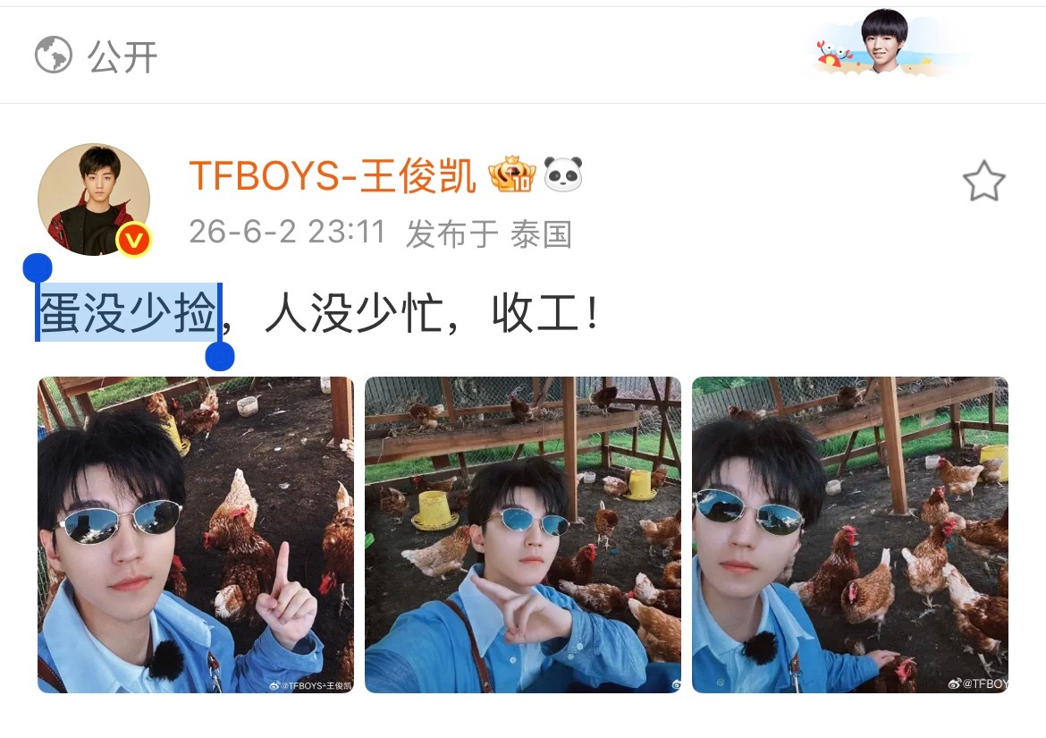 看凯以及工作室这个文案，他们是不是也知道凯被称为养鸡主理人&每天捡🥚标配🤣?