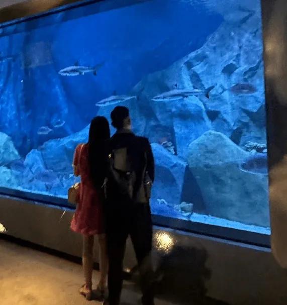 郭富城首次曝光了自己两个女儿的正脸照片，庆祝妻子方媛的生日。照片中，两个女儿穿着