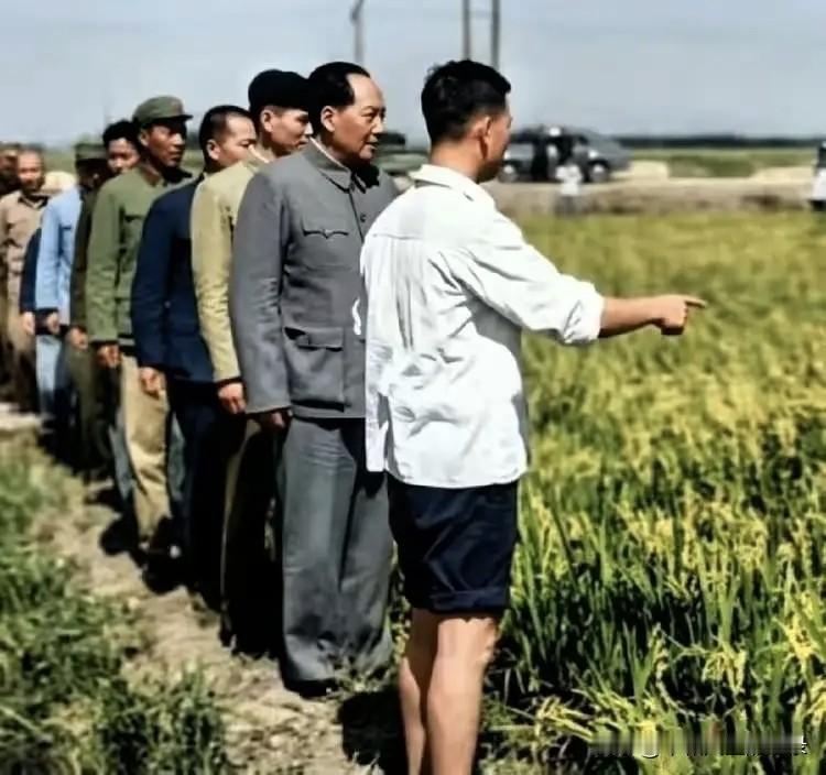 得民心者得天下，毛主席一生为国为民，两袖清风，清正廉洁，高瞻远瞩，未雨绸缪，向伟