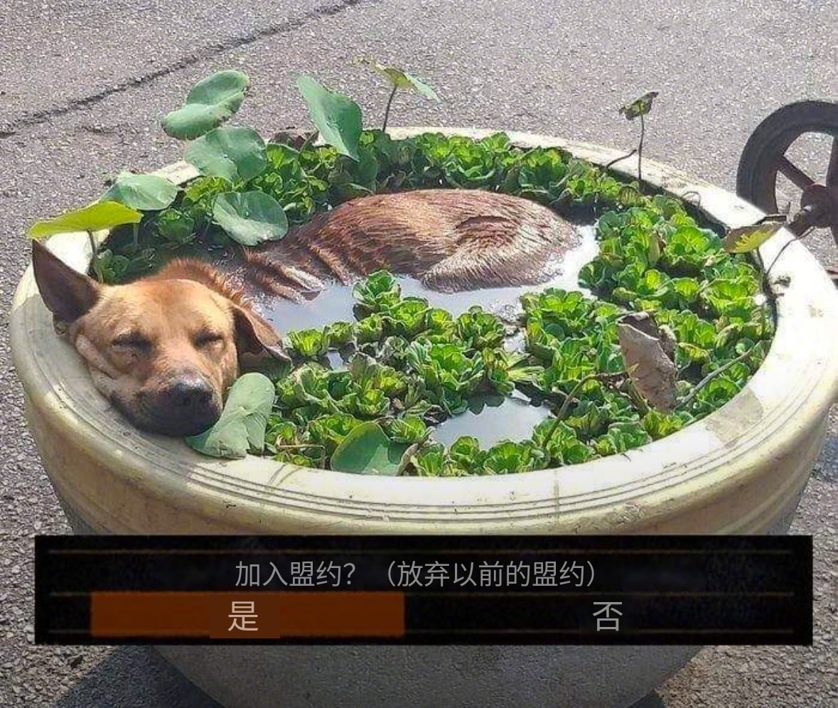 犬儒生活（字面含义） 