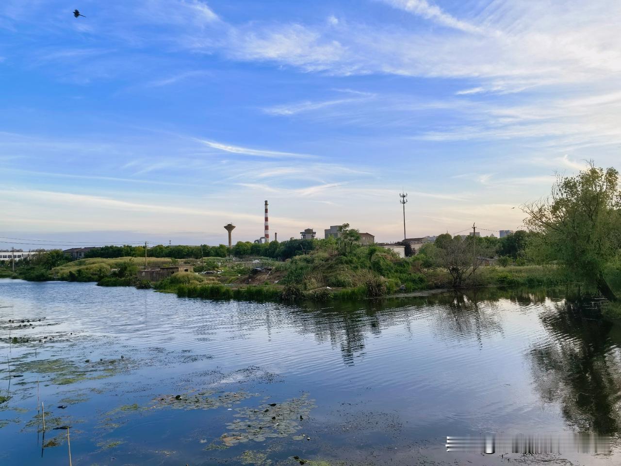 江南水乡原生态，河错纵横交错。
夕阳西下，倦鸟归巢。
鸟宿池边树，鸡鸣桑树颠。