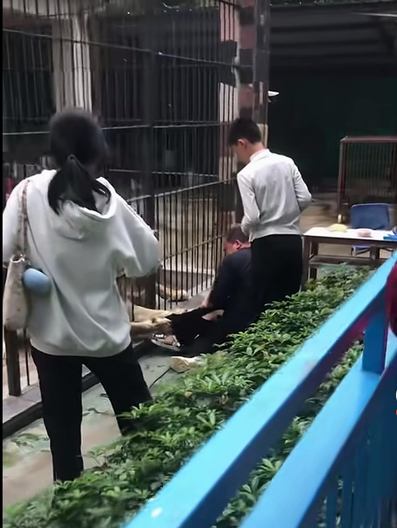 孩子越过栏杆，被狮子抓这个事，不怪狮子，而且还把狮子吓坏了，人人都要遵守规则，世