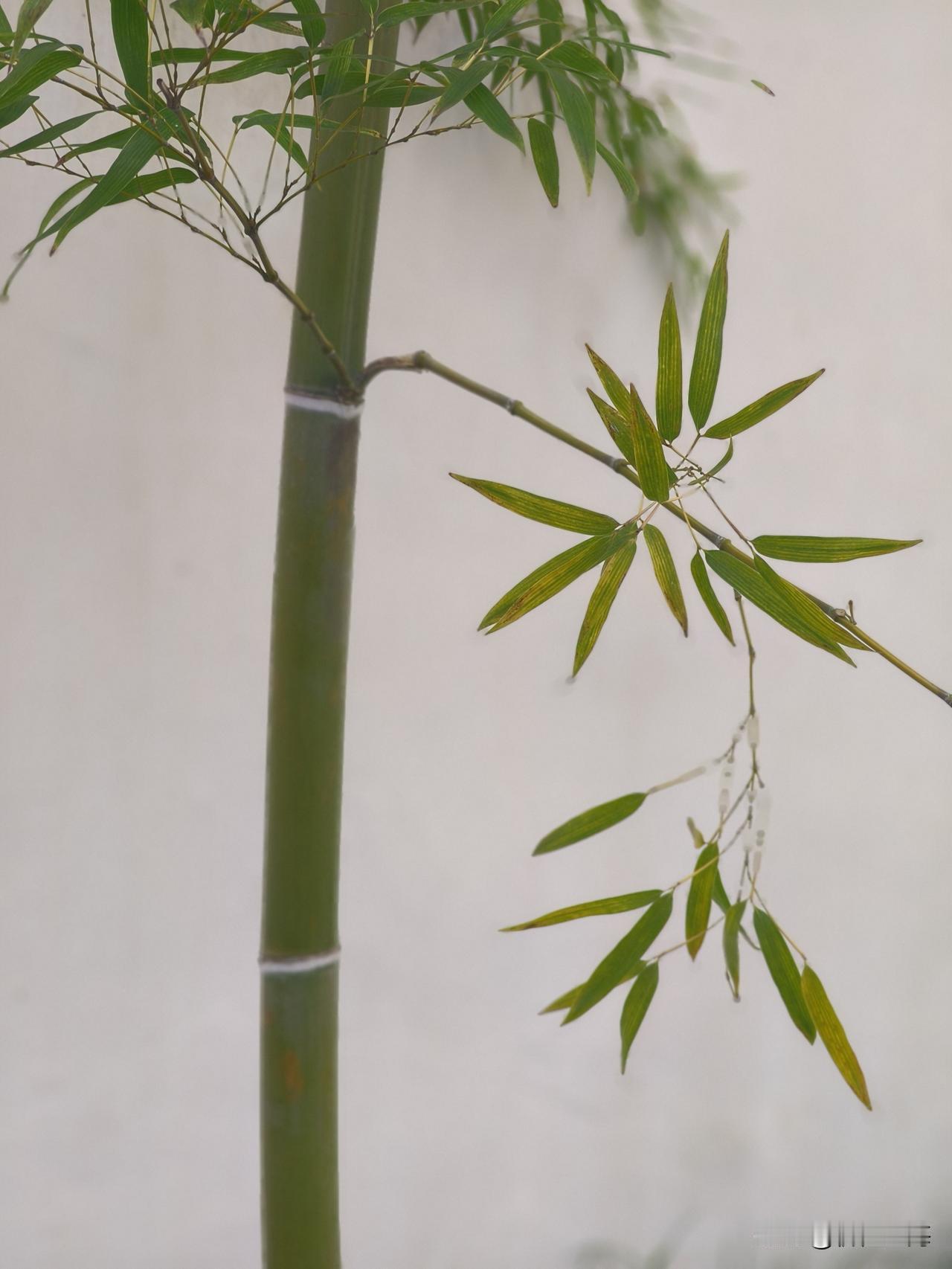 2025年年底房价行情已回落至2016年的水平？[伤心]
现在能确定的是2016