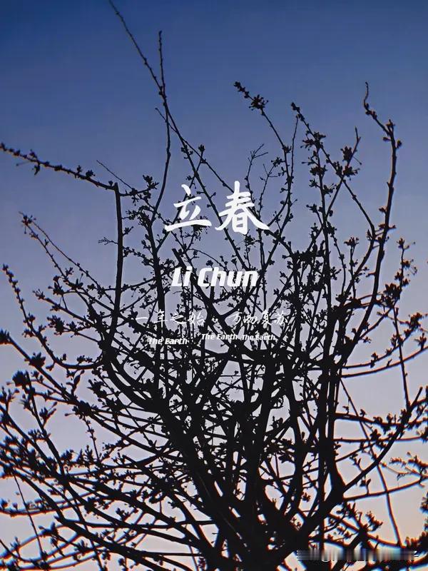 立春诗词韵味无穷。像罗隐的《京中正月七日立春》“一二三四五六七，万木生芽是今日”