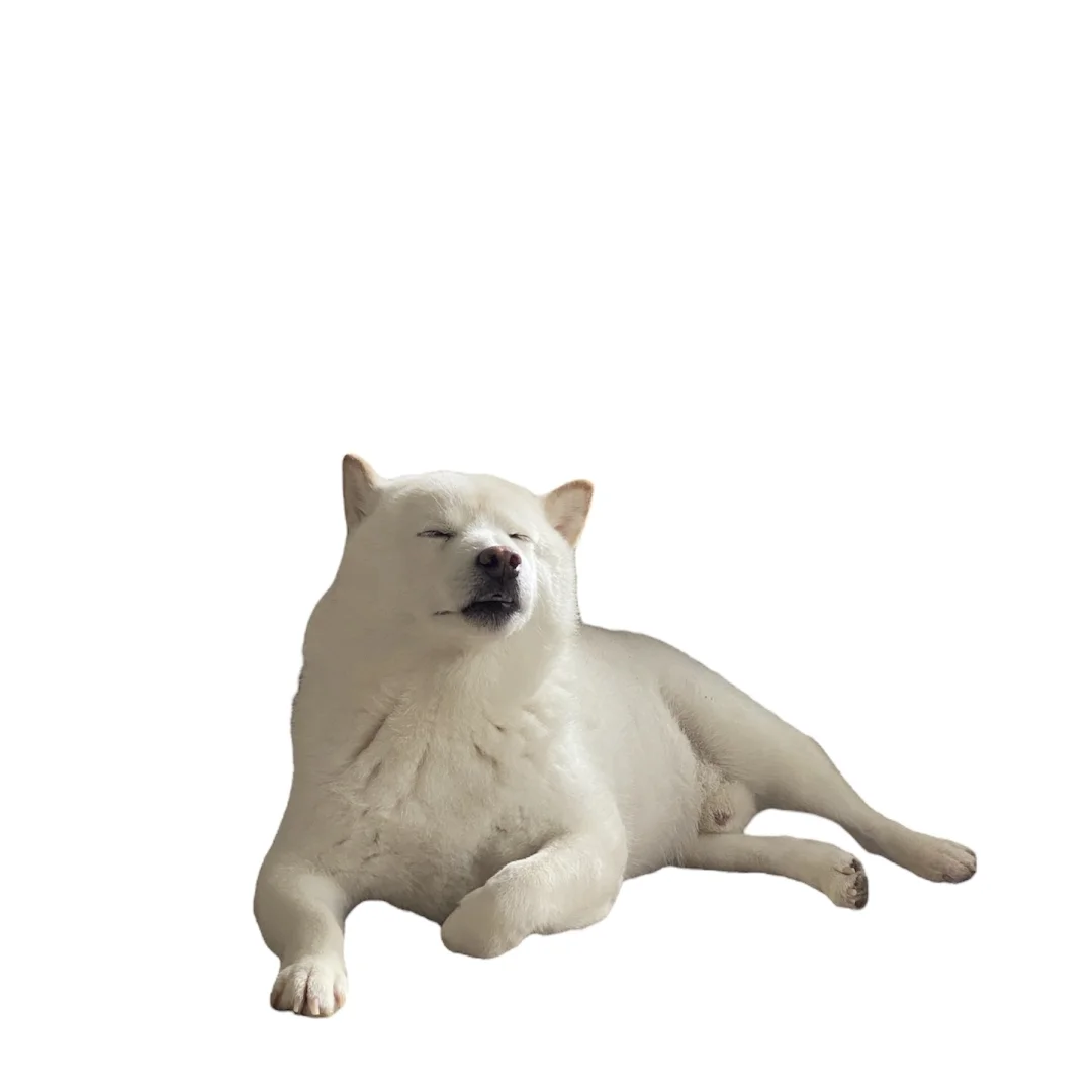 等下班