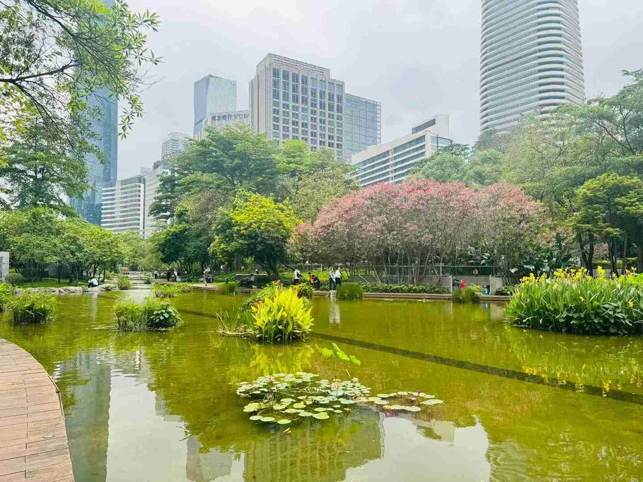 [锦鲤到来]你是不是也会抠抠搜搜的样子

我跟对象说，我每天薅羊毛，有时候每天也