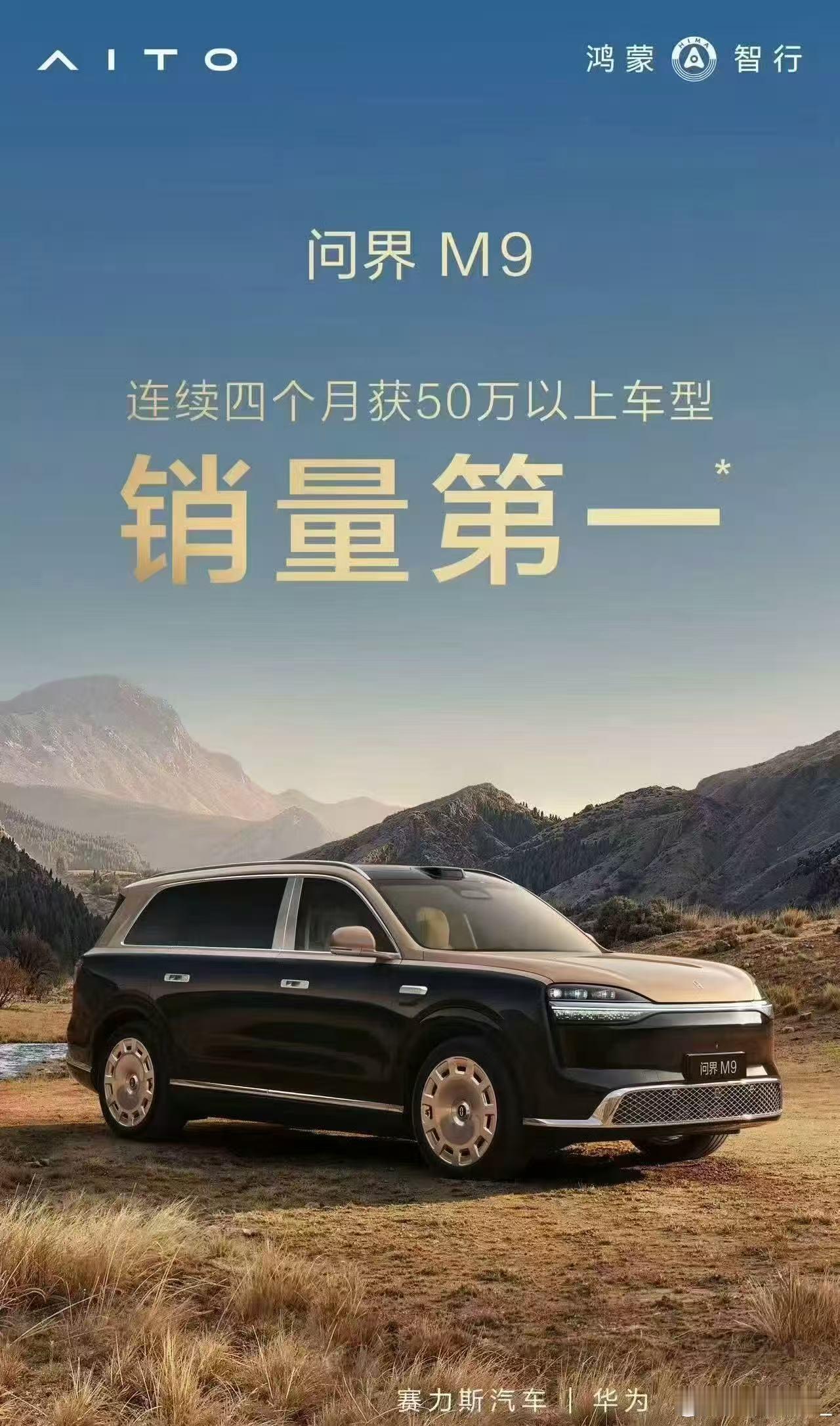 有俩9系SUV获得了销量第一，只是一个总和（9个月）第一，一个单月（4个月）第一