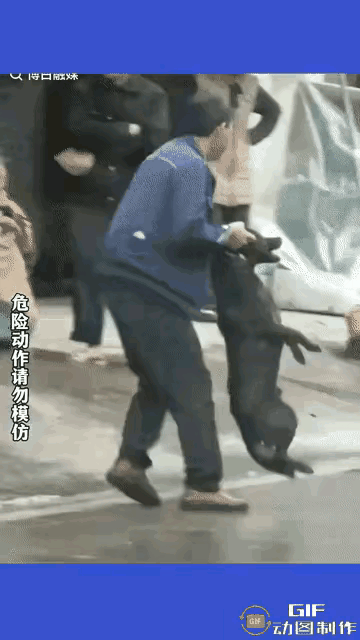 女子遛狗不栓绳，咬到路边一老汉，老汉怒不可遏，奋而将狗按在地上摔打，狗主人拉住男