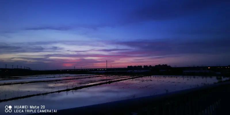 友的评论与回复，简直将文字的魅力发挥到了极致。称友人“语言优美，用词高雅，笔墨生