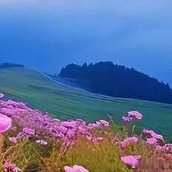 回忆是所有心痛的根源。如若不曾有回忆，就不会有那么多甜美的画面；如果不曾有回忆，