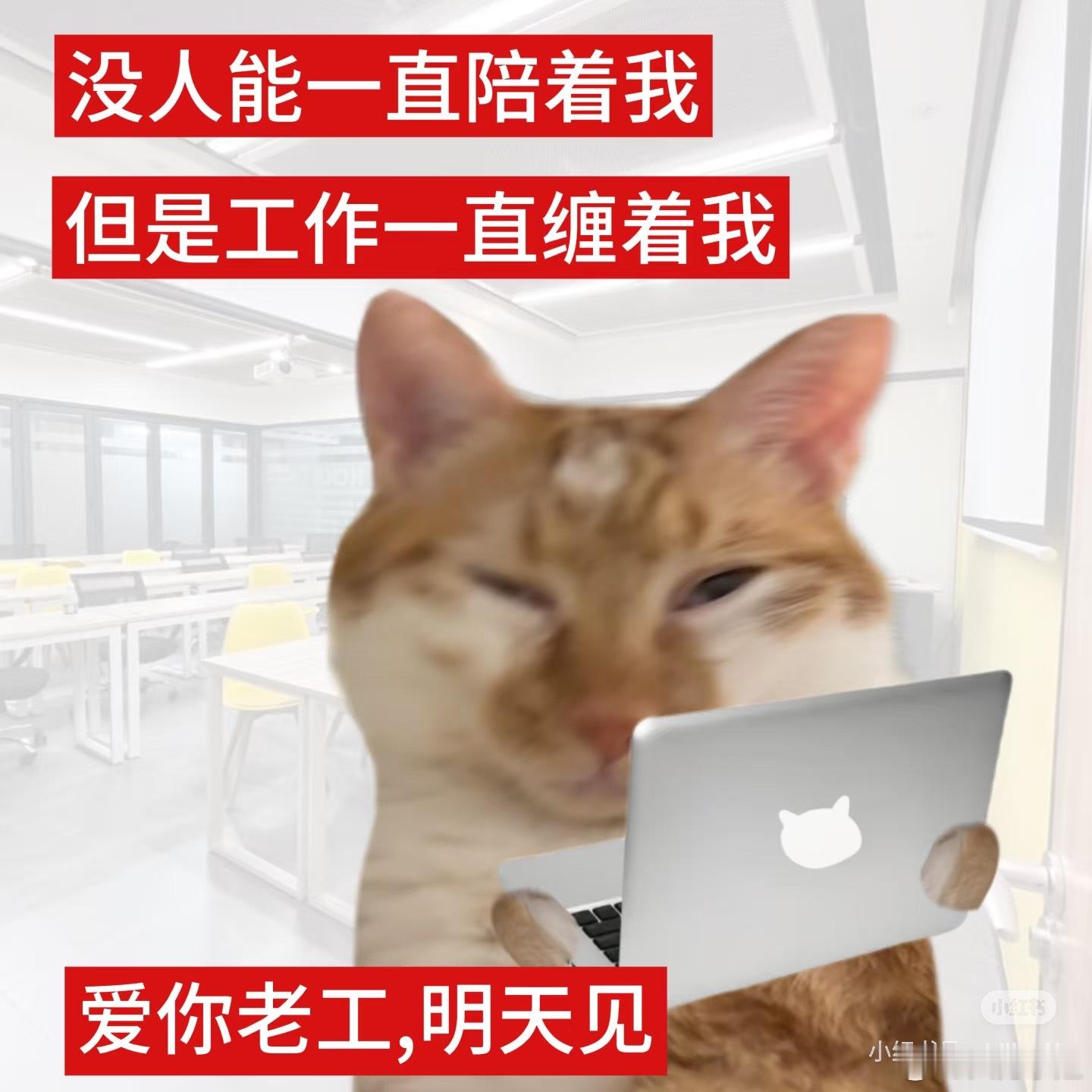 经常加班的人建议反复观看真的很怕猪队友你急他不急还不如自个儿干久而久之吧工作量也