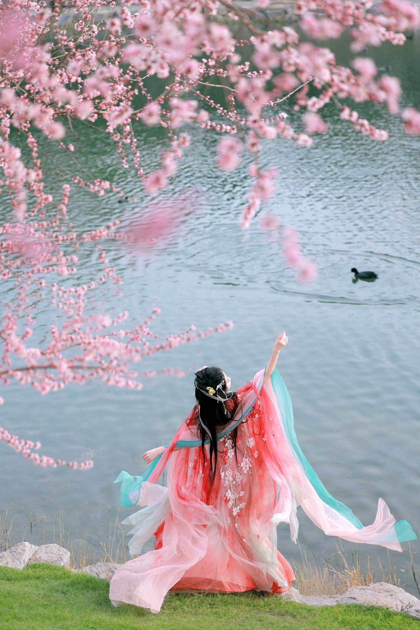 又是一年春归来。